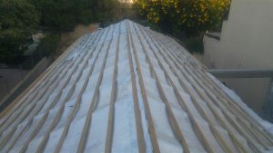 20161026_170203 (Medium)